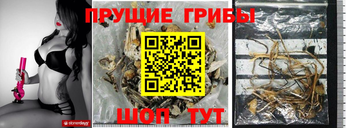 где купить наркоту  Галлюциногенные грибы ЛСД  Галлюциногенные грибы мухоморы  Вход с VPN  Новоалександровск 