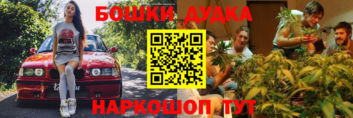 Шишки марихуана THC 21% Новоалександровск